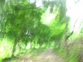 161-00162.jpg.small.jpeg