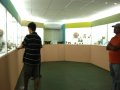 276-00280.jpg.small.jpeg