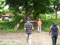 287-00291.jpg.small.jpeg