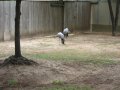 031-00032.jpg.small.jpeg