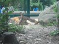 052-00053.jpg.small.jpeg