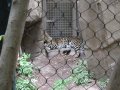 063-00064.jpg.small.jpeg