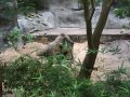 067-00068.jpg.small.jpeg