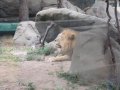 072-00073.jpg.small.jpeg