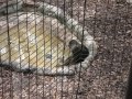 092-00093.jpg.small.jpeg