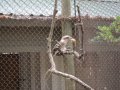 104-00105.jpg.small.jpeg