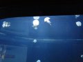 107-00108.jpg.small.jpeg