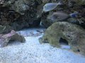 115-00116.jpg.small.jpeg