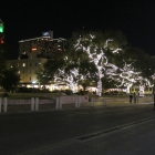 ../thumbnails/018-IMG_3455.JPG.small.jpeg