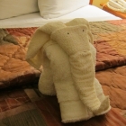 ../thumbnails/029-IMG_3466.JPG.small.jpeg