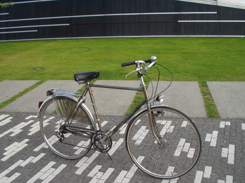 A tribute to my bike, part II.