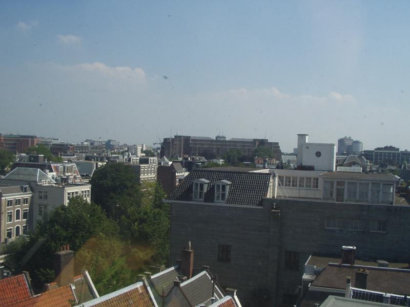 There are still some trees among all the buildings.