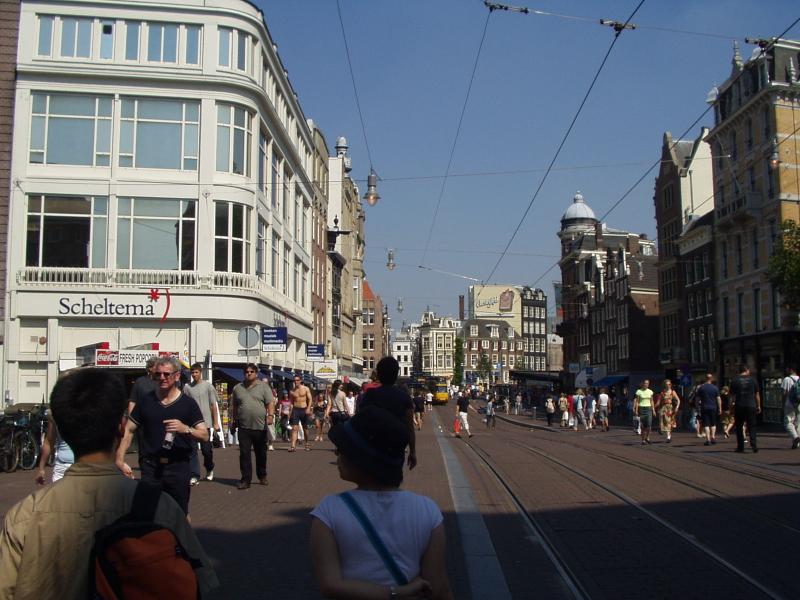 Trams are quite popular transportation here.