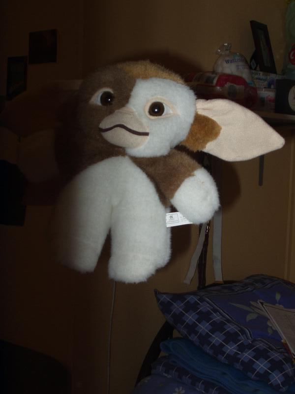 pb210026.jpg