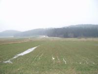 People grow grass there. It's pretty valuable..