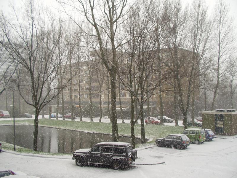 Today it started snowing. Heavily.