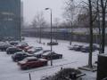 It took less than an hour for everything to be covered in snow.