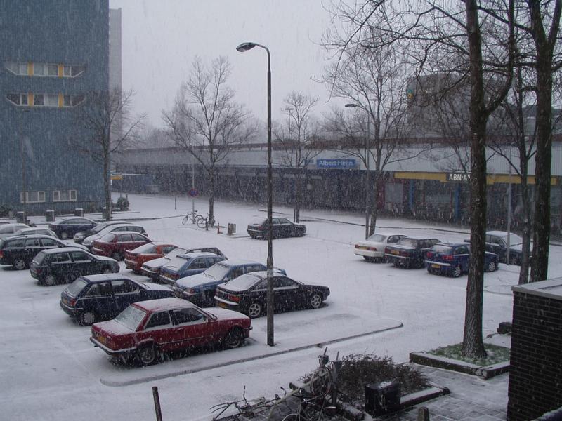 It took less than an hour for everything to be covered in snow.