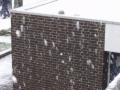 The flakes were big and they fell fast.