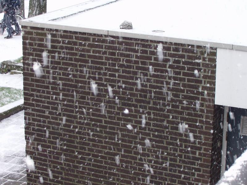 The flakes were big and they fell fast.