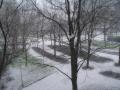 The leafless trees look nice covered in white.