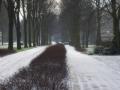 View of the sidewalk.