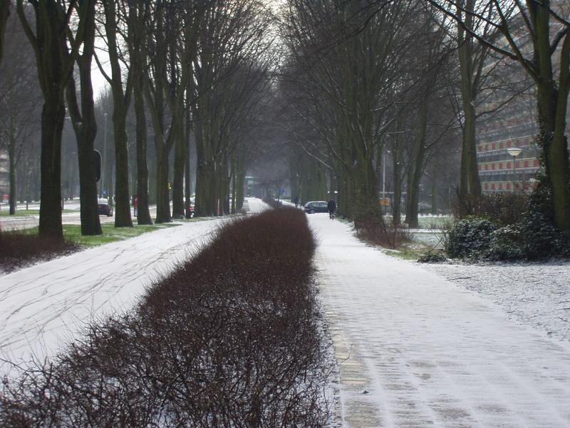 View of the sidewalk.