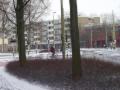 Nothing will stop these Dutch bikes.