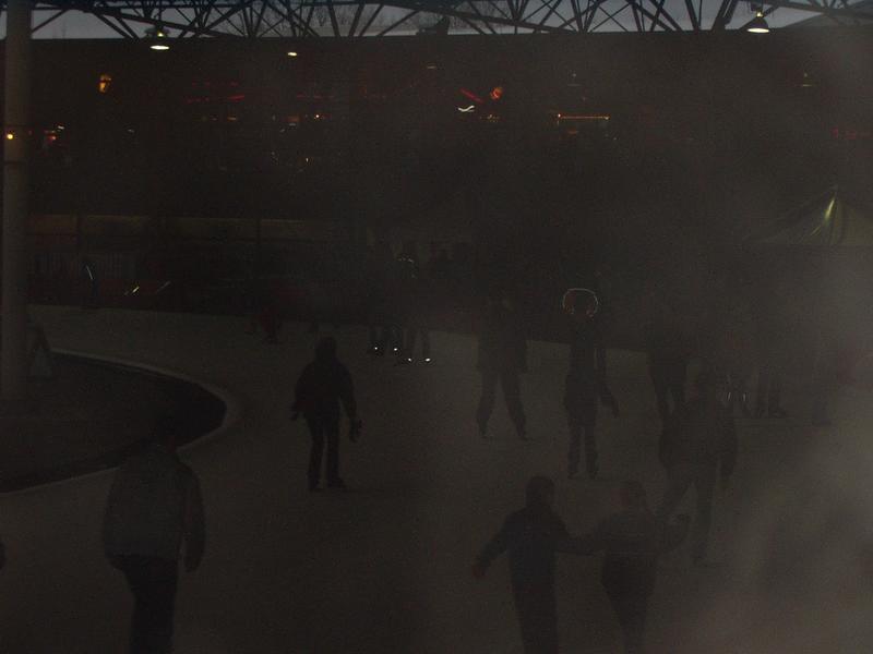 (Bad) picture of the skating ring