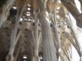 Las columnas estn inspiradas en rboles de un bosque.