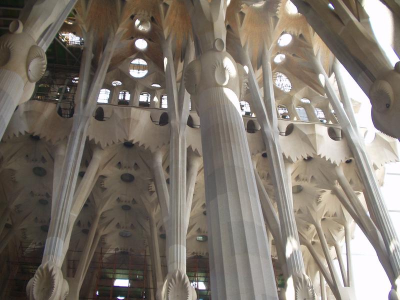 The columns are inspired in the trees of a forest.