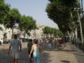 Paseo de las Ramblas, the most famous street