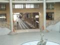 Clientas del centro comercial