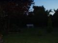 Their home's backyard