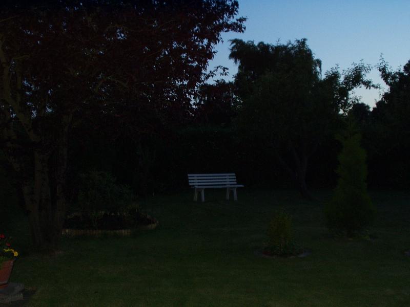 El patio de su casa
