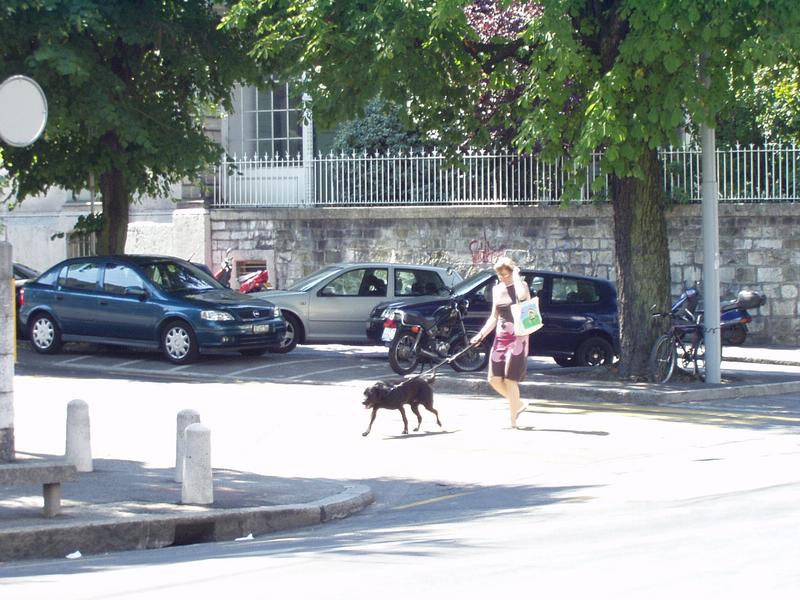 Ac tambin la gente tiene perros.
