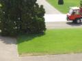 Peacocks can freely roam here. Last will of the original owner.