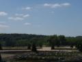 Another garden