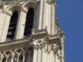 The gargoyles at Notre Dame.