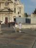 Visiting Paris with your couple.