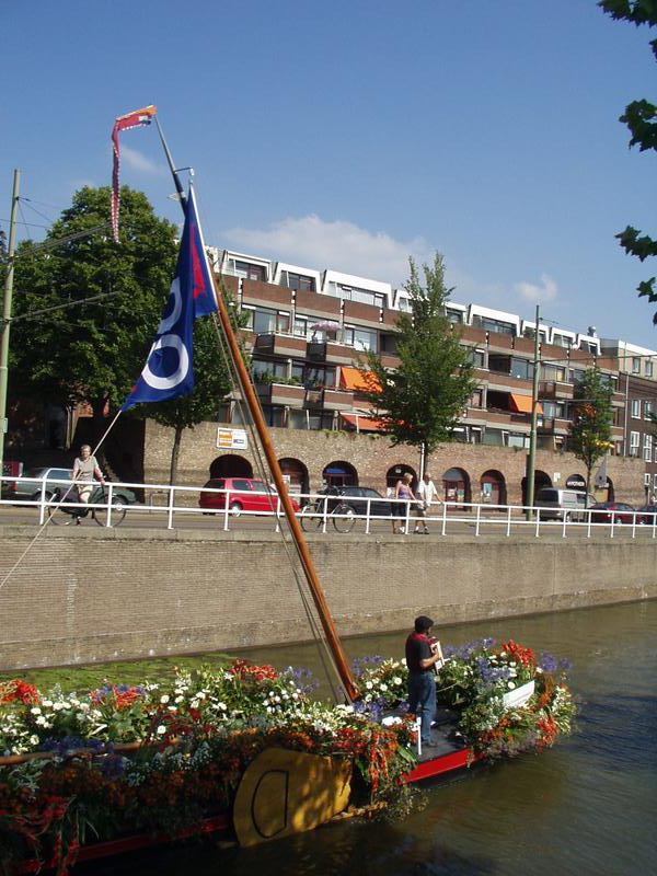 These poles bend down to pass under the bridges