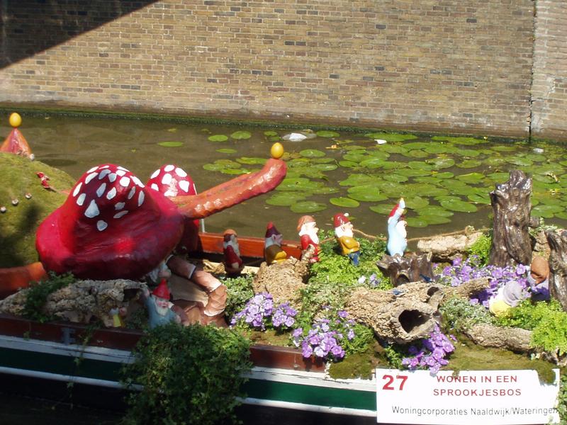 More gnomes