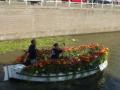 More flowers