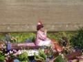 A flying carpet
