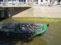 Bikes... you can't miss them