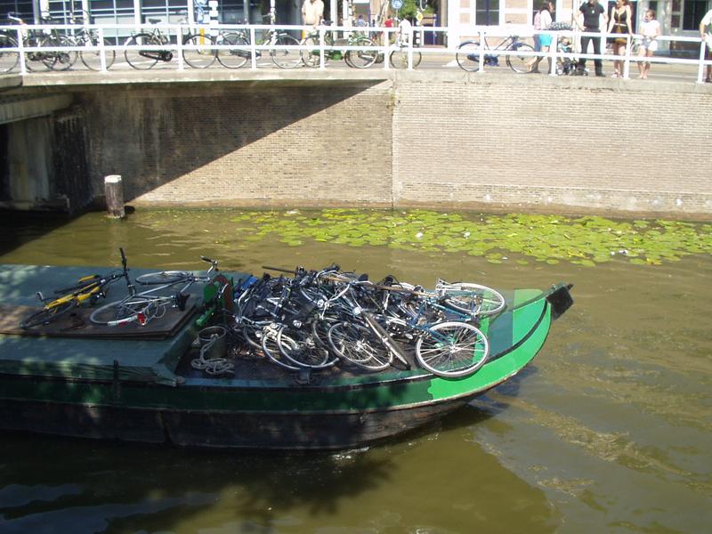 Bikes... you can't miss them
