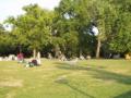 This is one of the many parks of the city