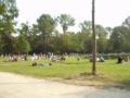 Many people come here to relax