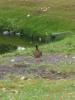 holanda/p1010028.jpg
