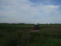 Holland is green